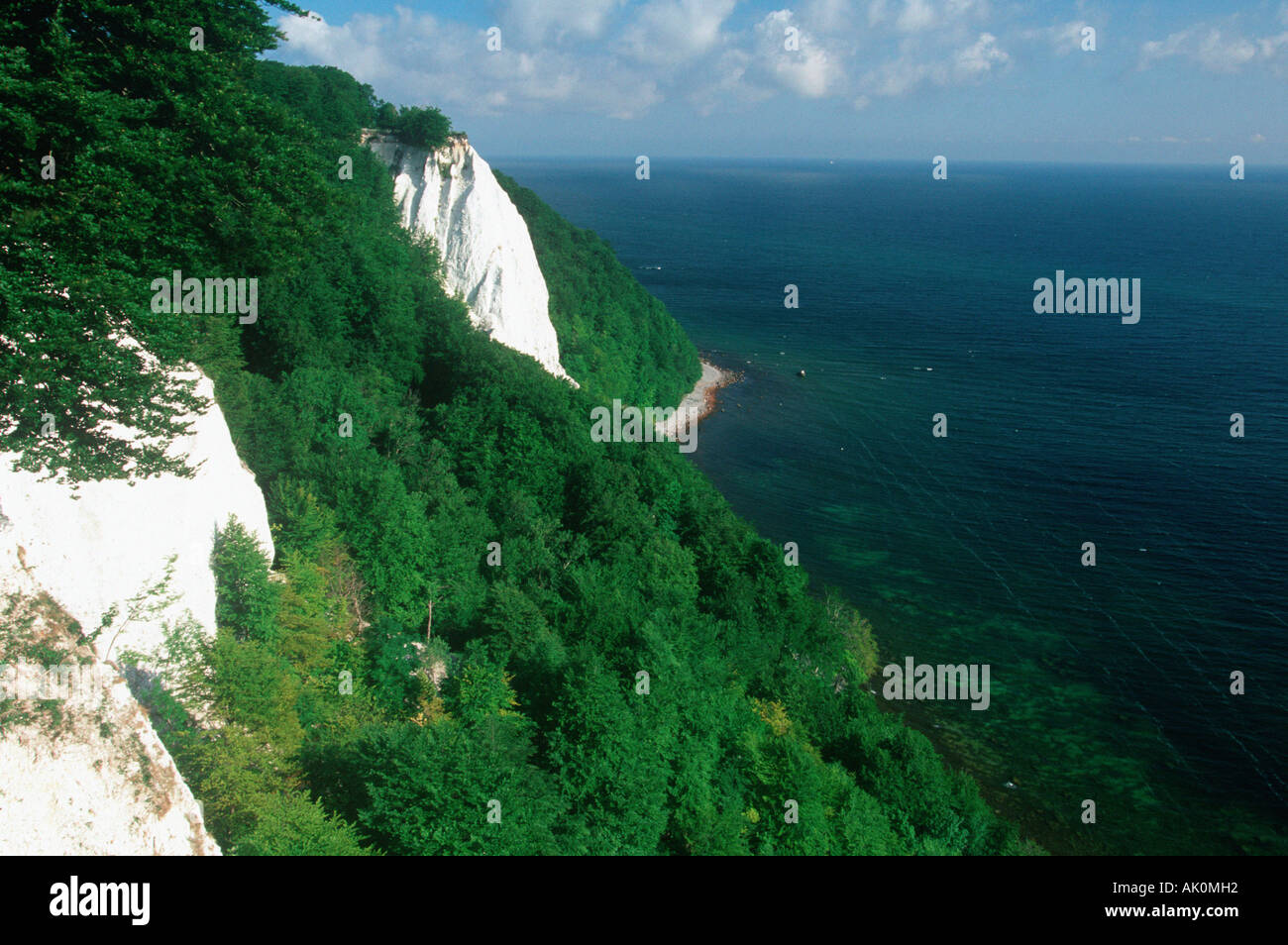 Chalk Cliff Coast / Ruegen Stock Photo Alamy