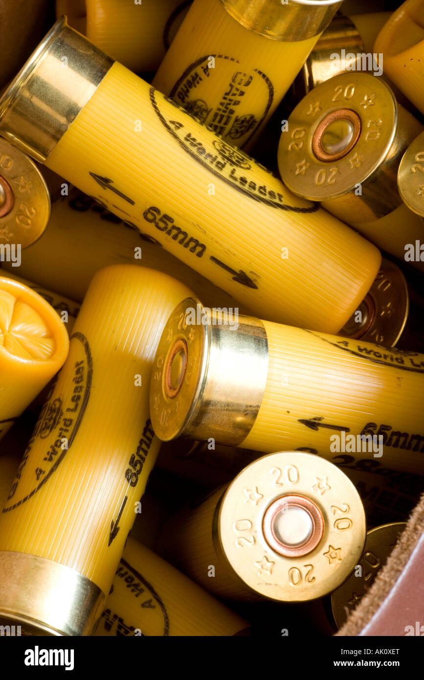 20 bore shotgun cartridges Stock Photo Alamy