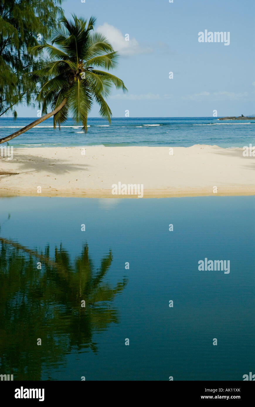 Lagoon palm tree and white sandy beach Labriz Resort Silhouette Island ...