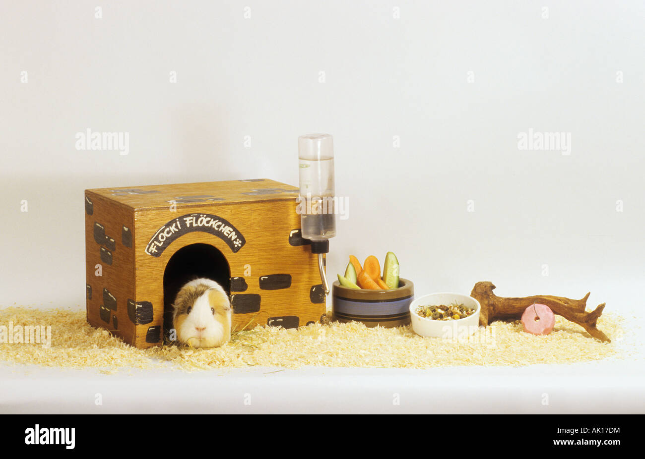 Guinea pig house hires stock photography and images Alamy