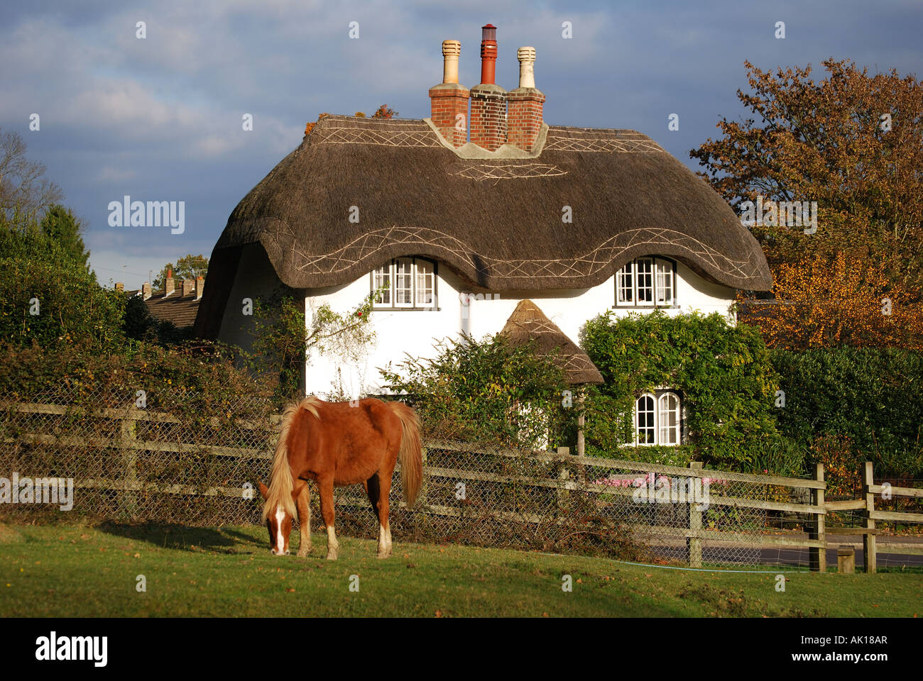 Cottage At Swan Green Lyndhurst New Forest Hampshire England