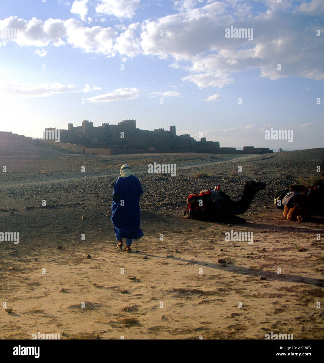 Camel trek rest stop near a fortified village Sahara desert near Zagora