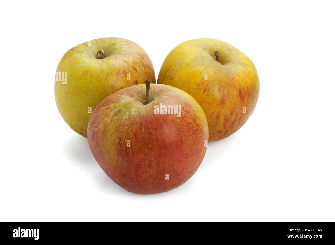 Cox s Orange Pippin apples Stock Photo