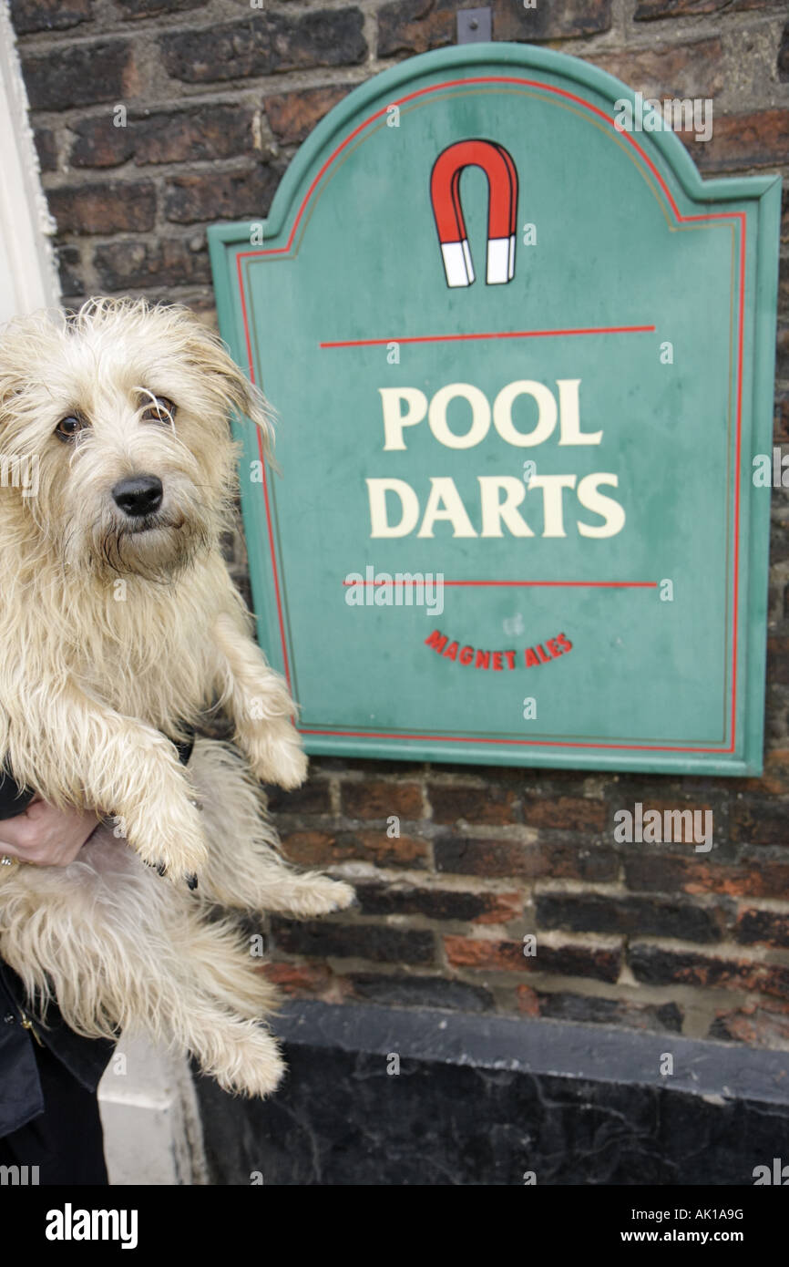 England United Kingdom UK,Great Britain British English,Thirsk,Kirkgate