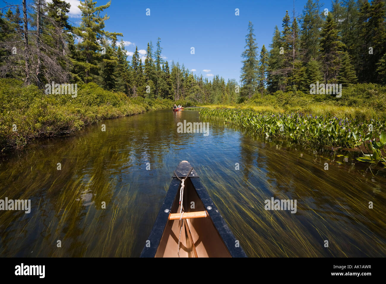 Canoeing up river Algonquin National Park Canada Stock Photo Alamy