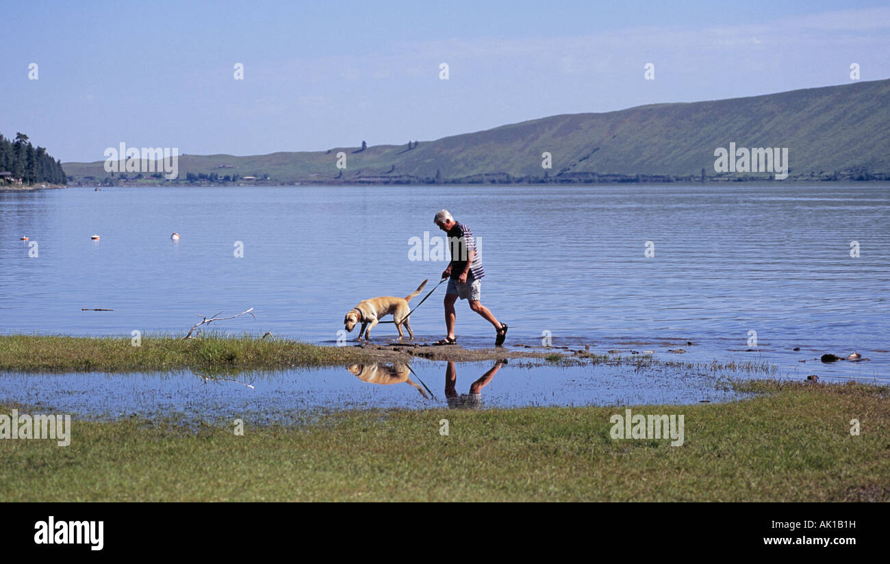 Dog lake oregon hi-res stock photography and images - Alamy