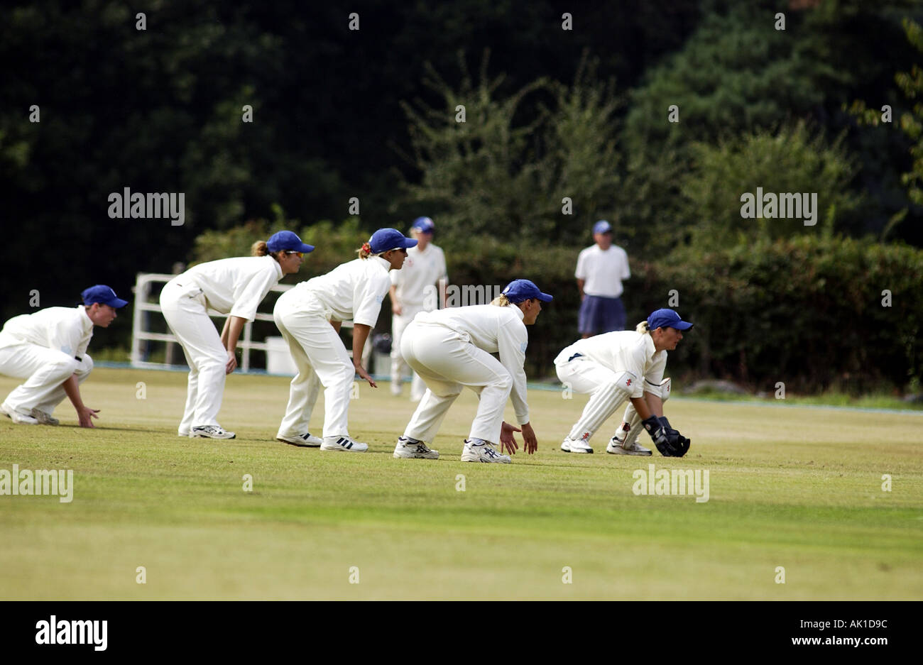 Cricket slip fielders hires stock photography and images Alamy