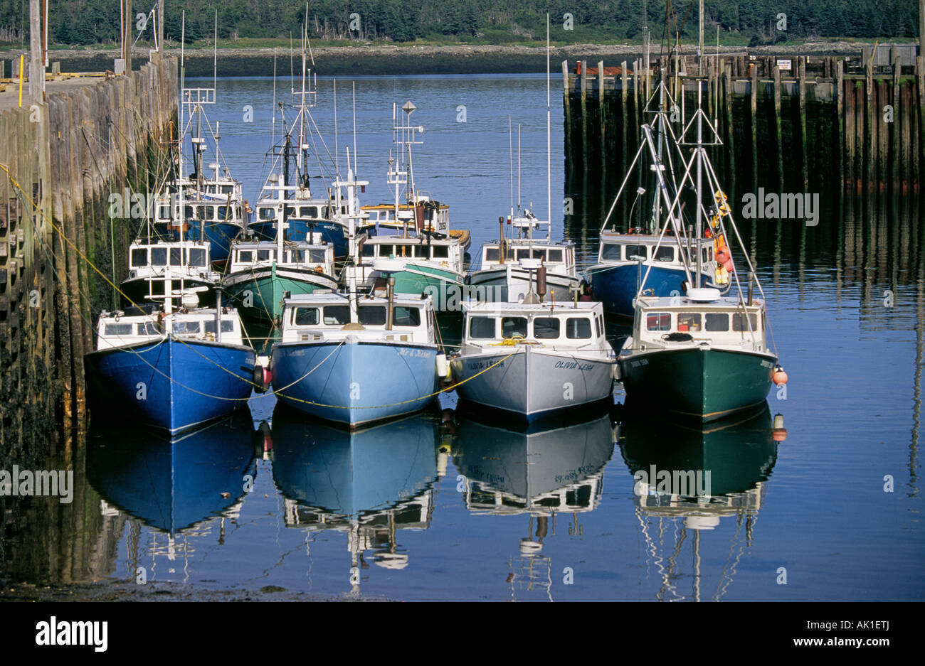 CANADA NEW BRUNSWICK GRAND MANAN ISLAND Fishing boats reflection in the