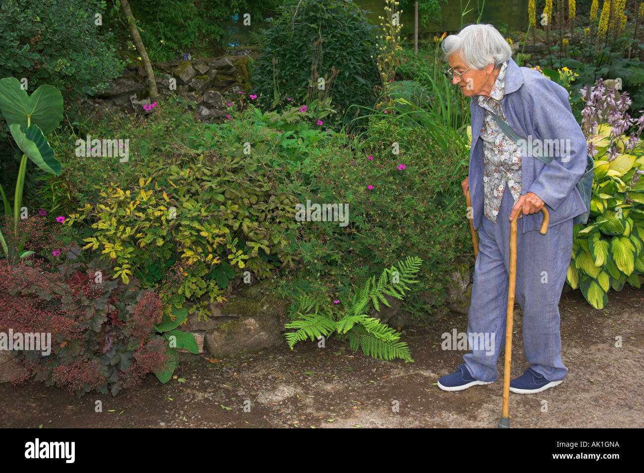 Elderly adult walking with sticks in garden Stock Photo