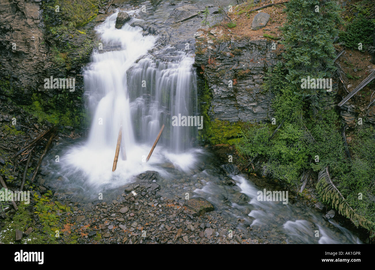 A beautiful waterfall on upper Tumalo Creek on the eastern slope of the Cascades near Bend Oregon Stock Photo