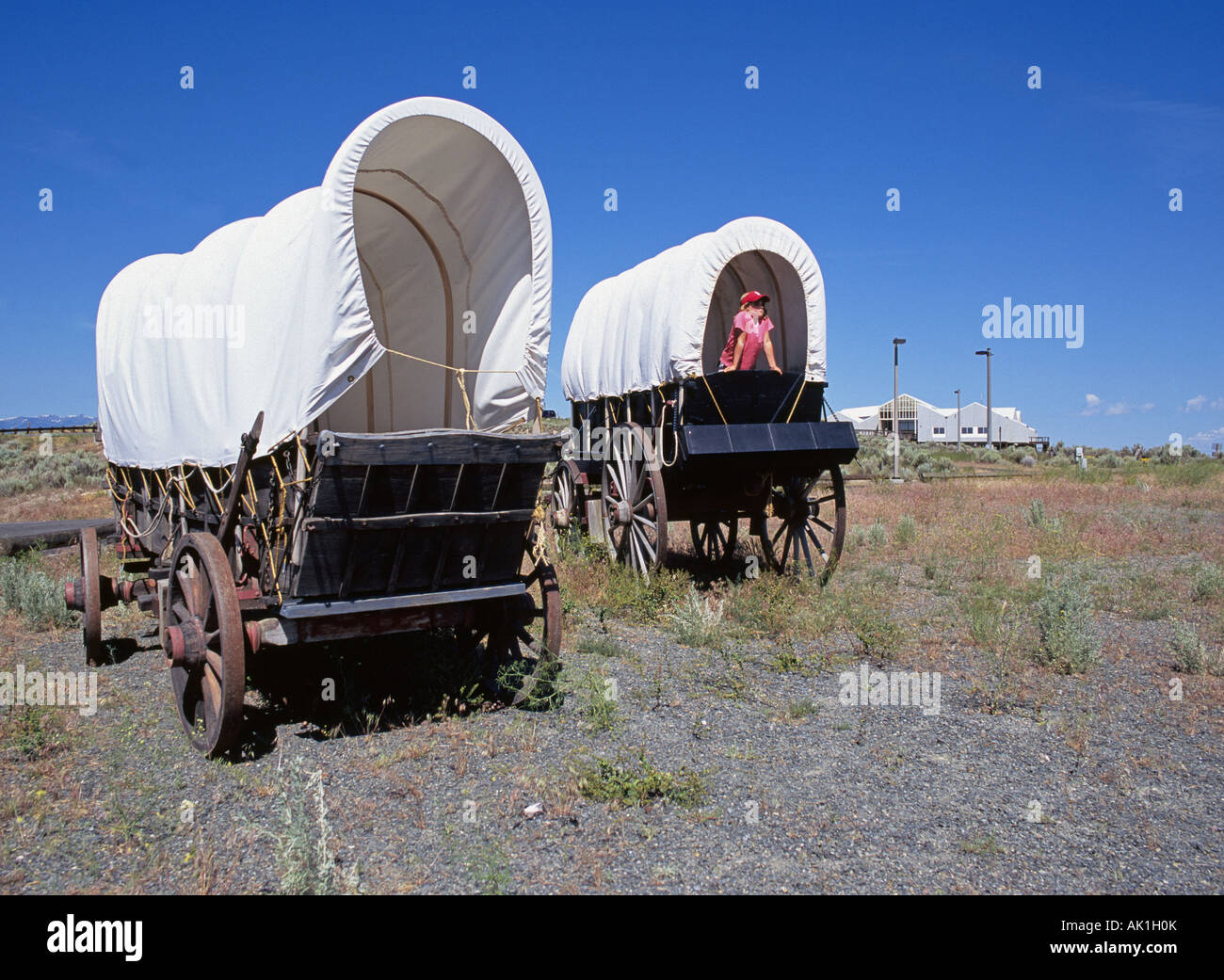 Conestoga Wagon Stock Photos & Conestoga Wagon Stock Images - Alamy