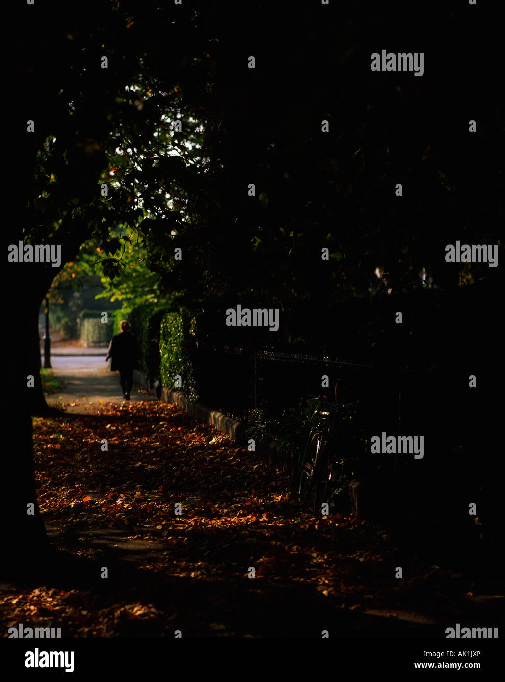 Dublin, Terraces, Raglan Road, Ireland Stock Photo Alamy