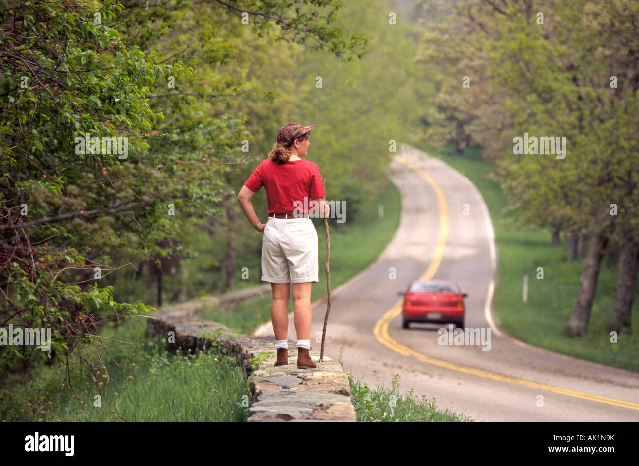 A hiker walks along a rock wall on the main road through Shenandoah NP in the Blue Ridge Mountains of Eastern Virginia Stock Photo