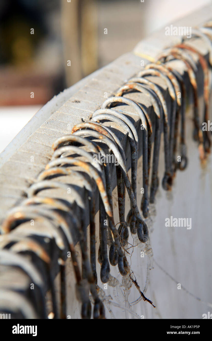 https://c8.alamy.com/comp/AK1P5P/fishing-hooks-prepared-for-a-commercial-long-lining-operation-by-being-AK1P5P.jpg