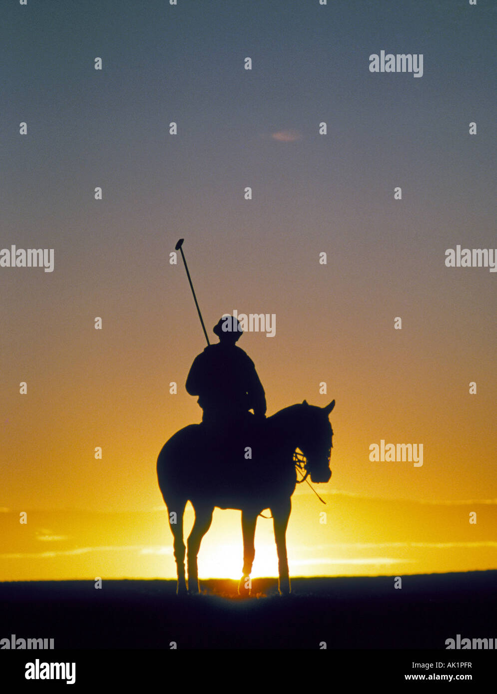 A polo player rests his horse after a local match at sunset near the city of El Paso Stock Photo