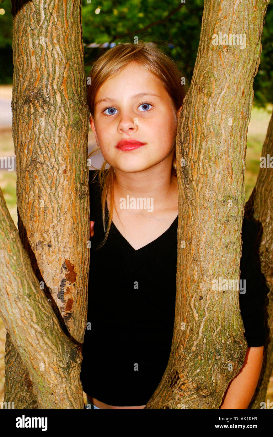 Why Did Tree Trunks Explode at Lisa Hawke blog