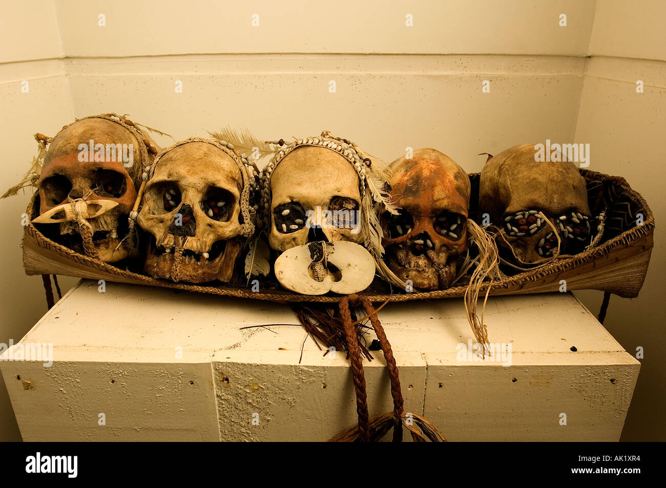 Ancestor skulls of Asmat family, Asmat Museum, Agats Irian Jaya Indonesia. Stock Photo