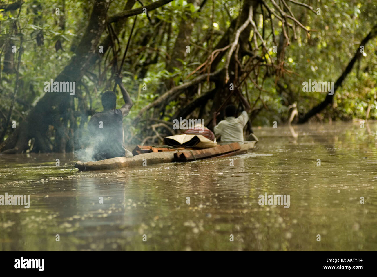 Asmat people travelling in their dugout canoe in dense mangrove forests of Irian Jaya, Indonesia. Stock Photo