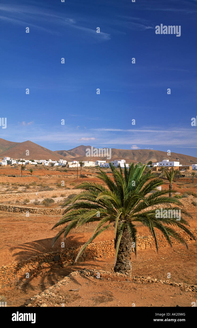 Typical landscape close to Tiscamanita Fuerteventura Canary Islands Spain Stock Photo