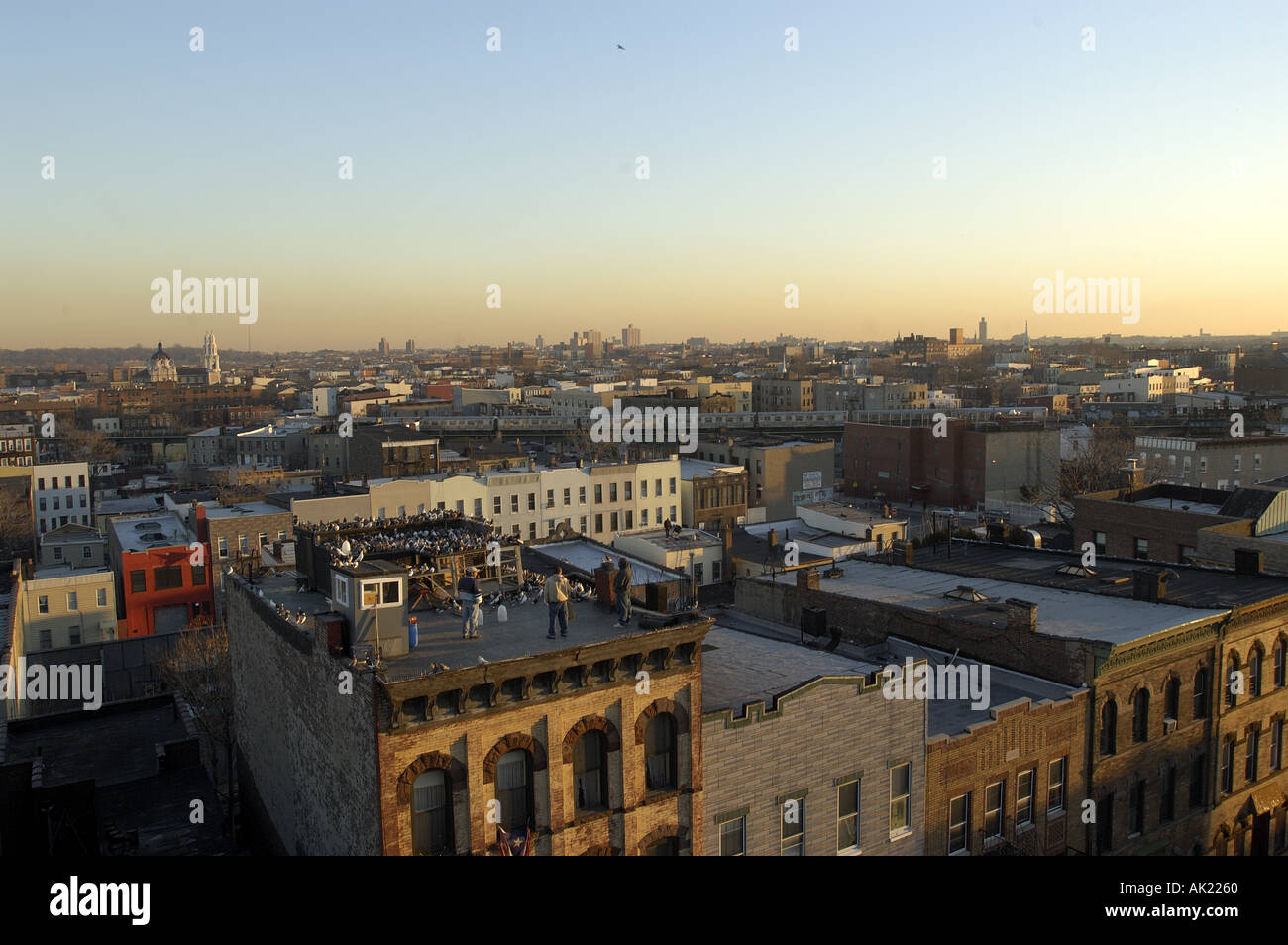 Bushwick hi-res stock photography and images - Alamy