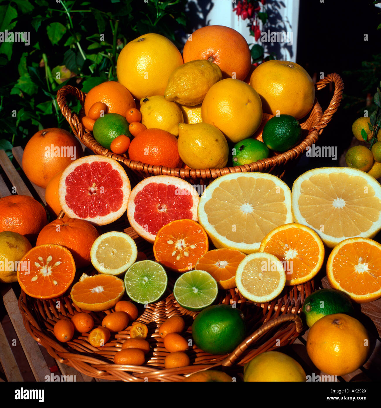 Citrus fruits hi-res stock photography and images - Alamy