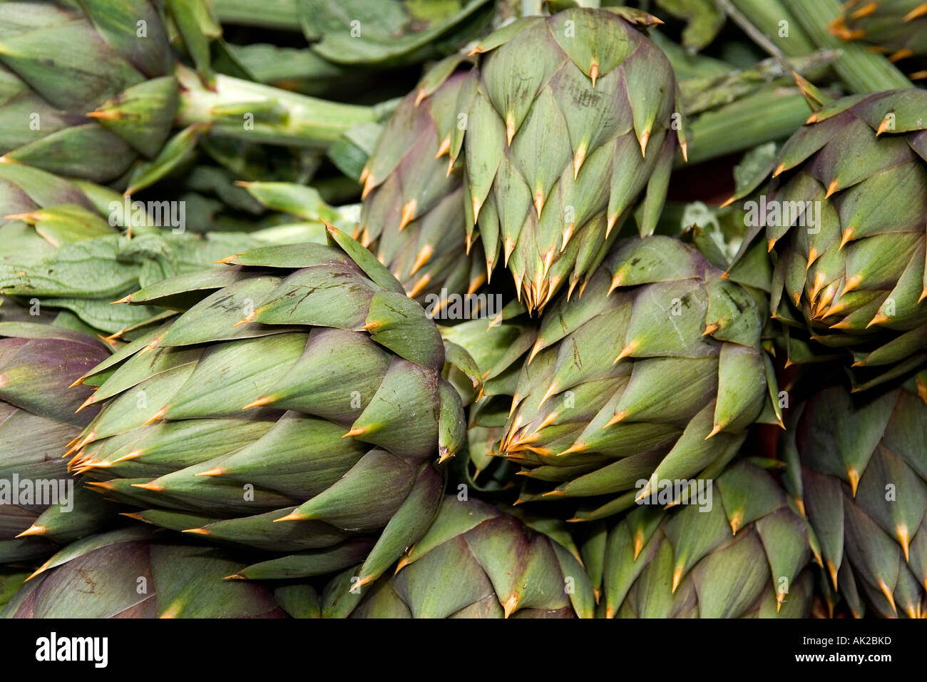 Artichokes Stock Photo