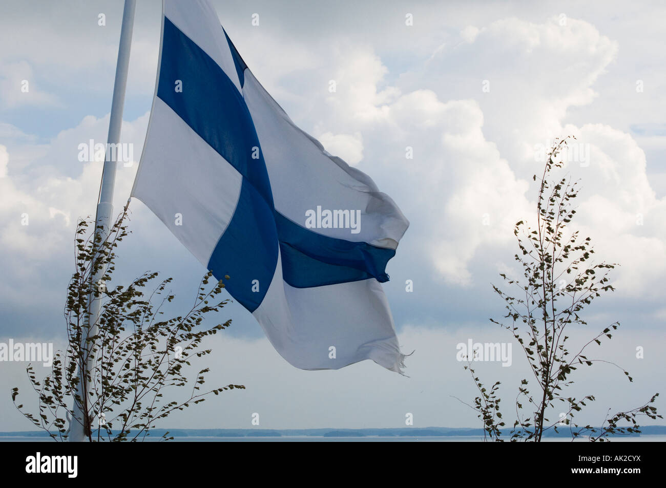 Finnish flag flies from a ferry in the Turku Archipelago Finland The birch twigs are an addition for Midsummer Stock Photo