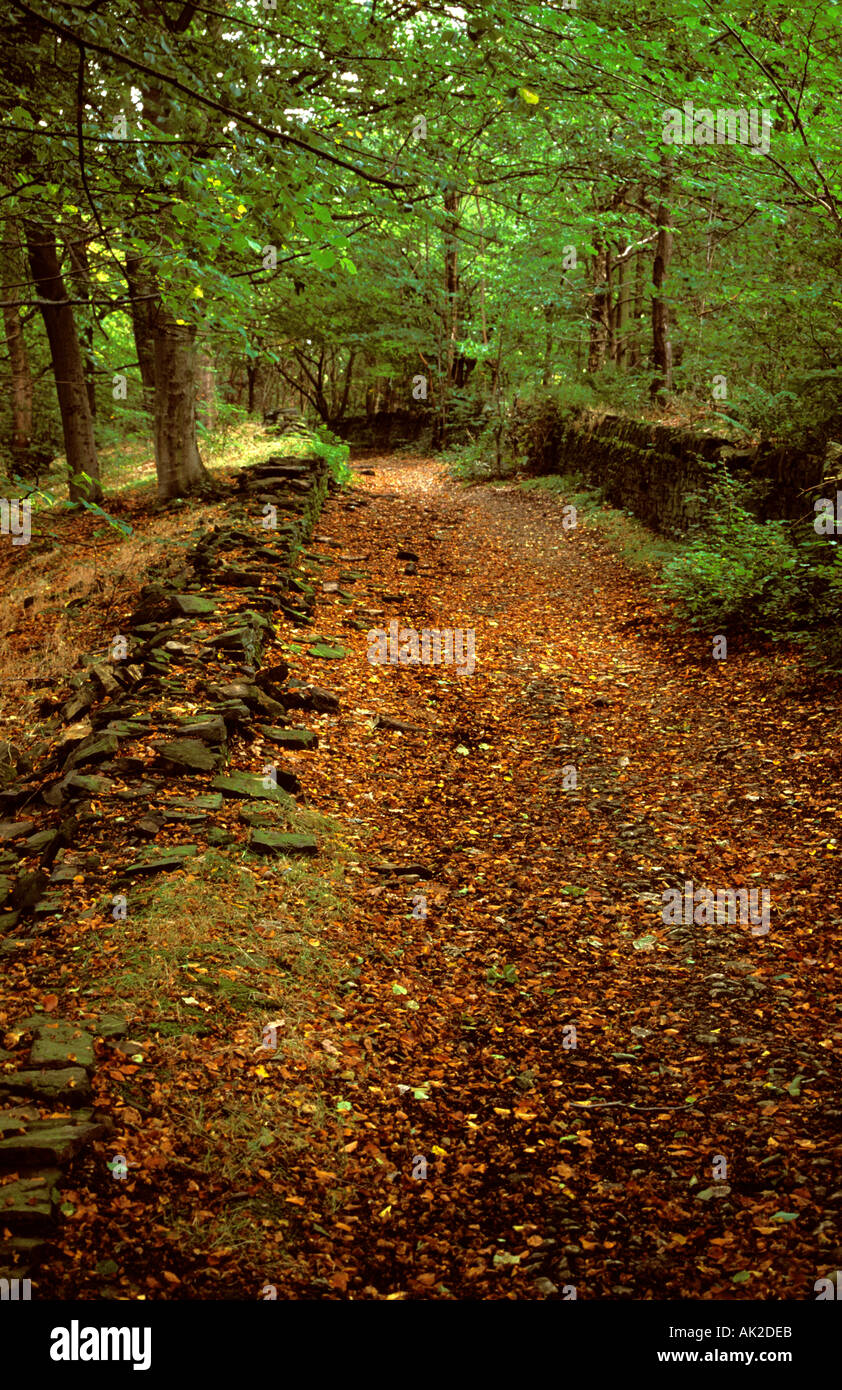 Footpath in Magdale, Honley, Holmfirth, West Yorkshire, England, UK. Stock Photo