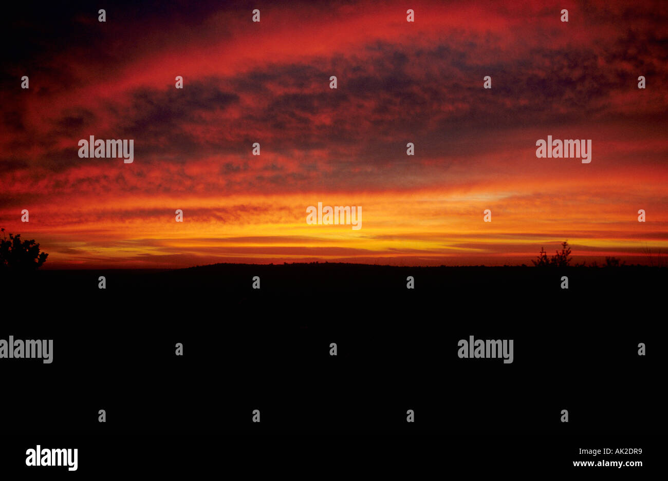 Sunset in Rajasthan, India Stock Photo - Alamy