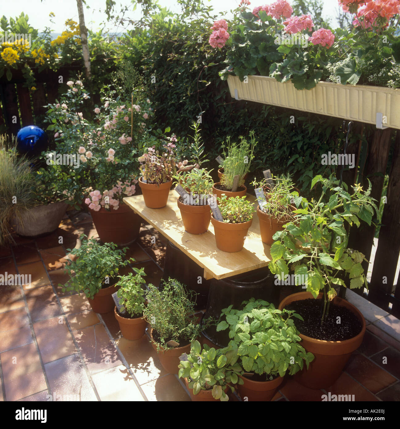 different herbs on balcony Stock Photo Alamy