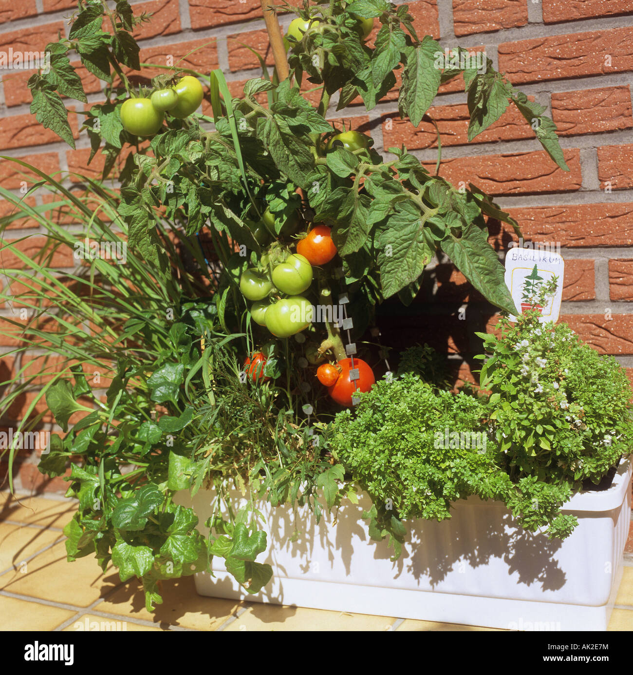 Herbs in pot hires stock photography and images Alamy