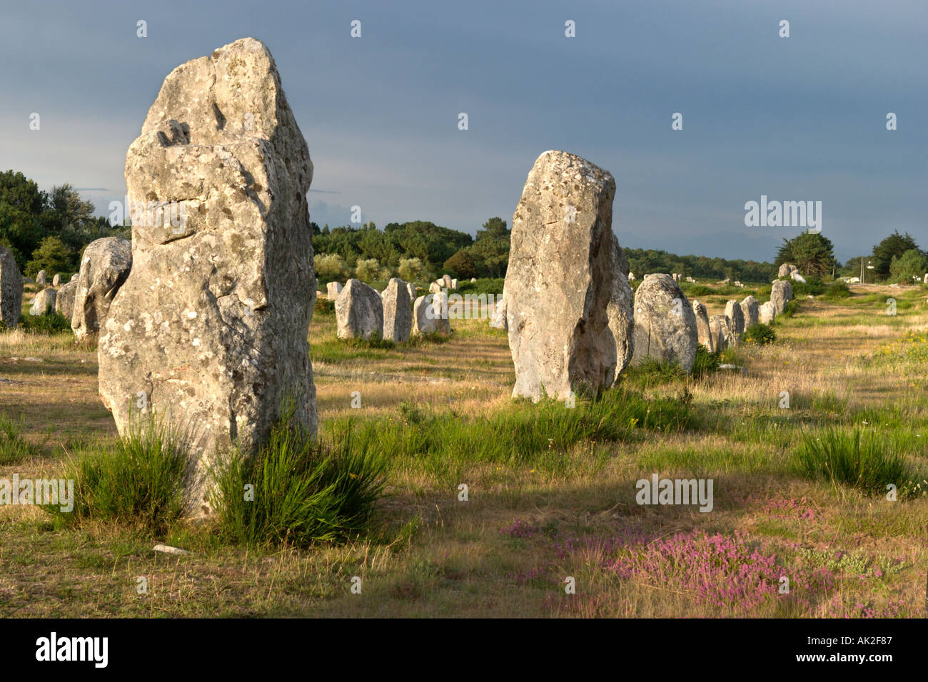 Megaliths in the late afternoon just before a storm, Alignements de Kermario, Carnac, Brittany, France Stock Photo