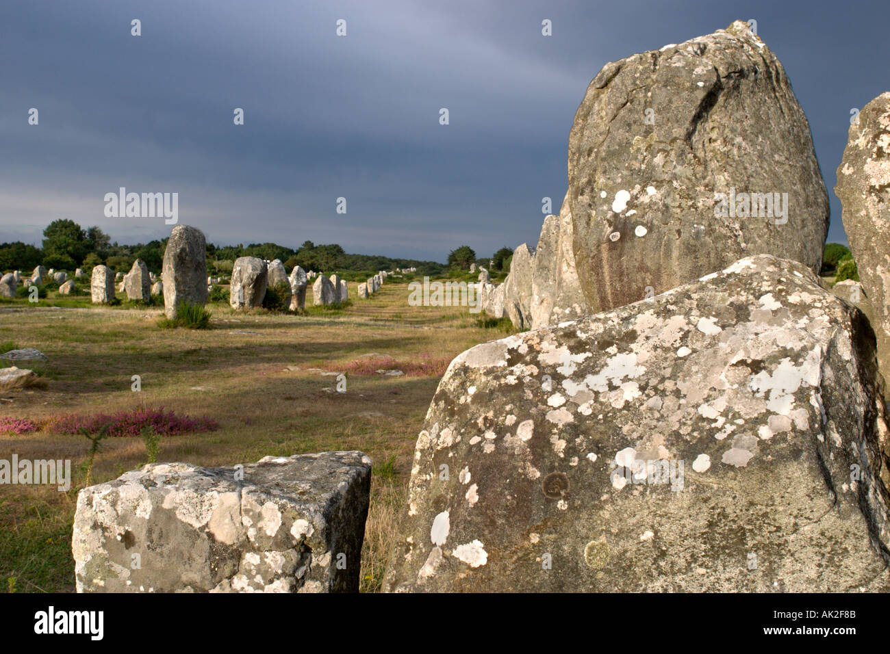Megaliths in the late afternoon just before a storm, Alignements de Kermario, Carnac, Brittany, France Stock Photo