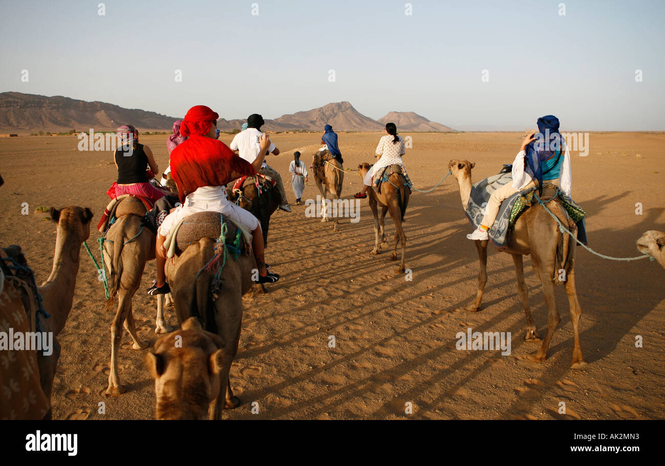 Camel rides. Sahara desert, Morocco. North Africa Stock Photo - Alamy