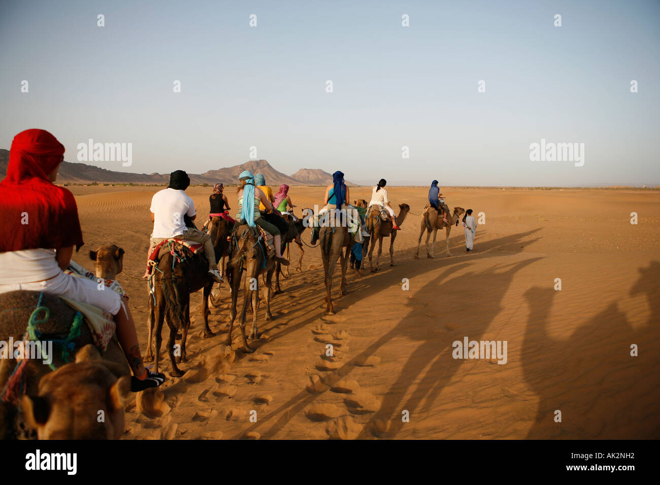Camel rides. Sahara desert, Morocco. North Africa Stock Photo - Alamy