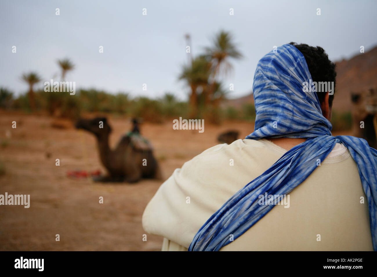 Zagora, Sahara desert, Morocco. North Africa Stock Photo - Alamy
