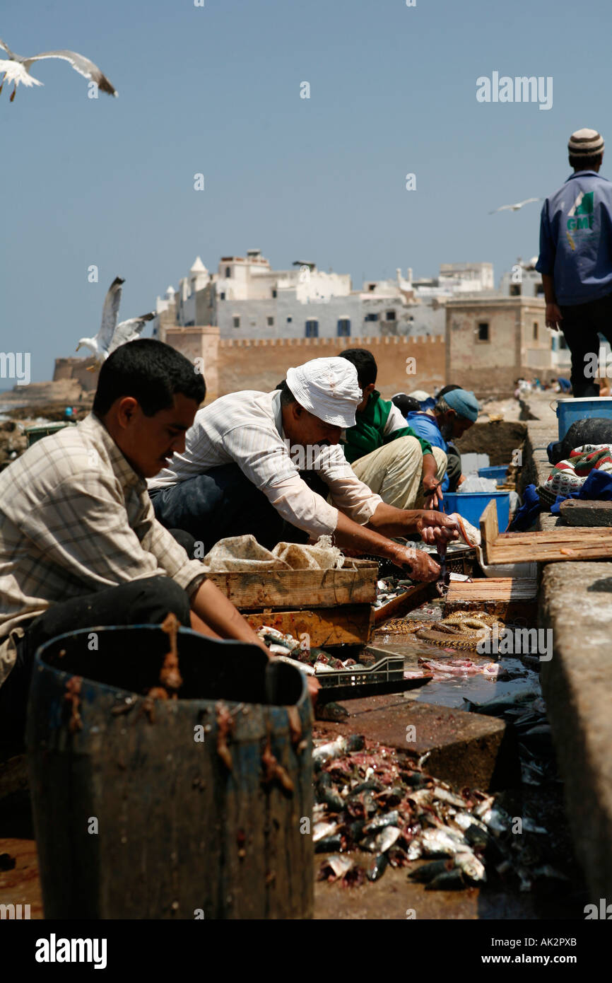 Fishermen. Essaouira, Morocco Stock Photo