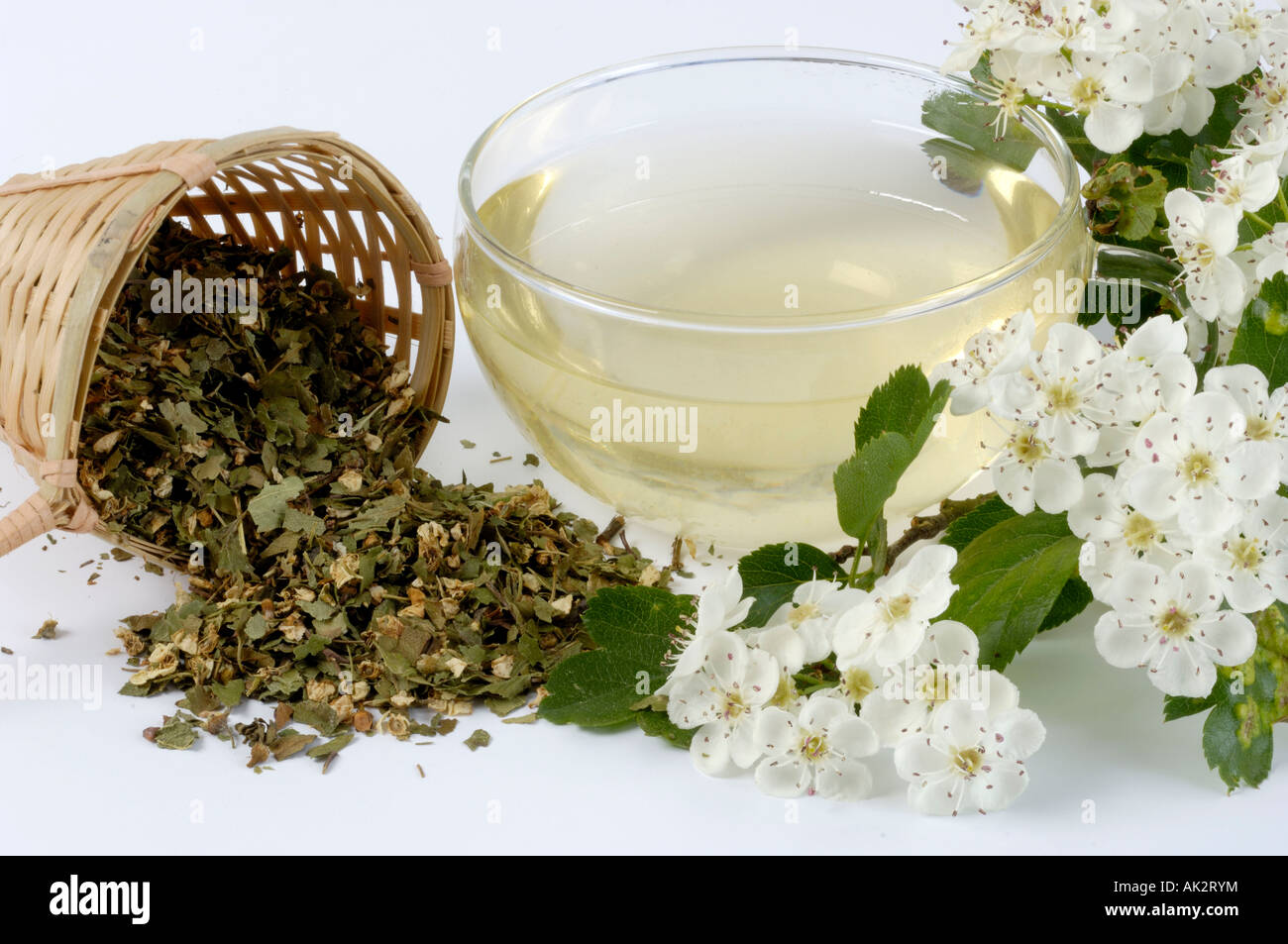 Hawthorn tea hires stock photography and images Alamy