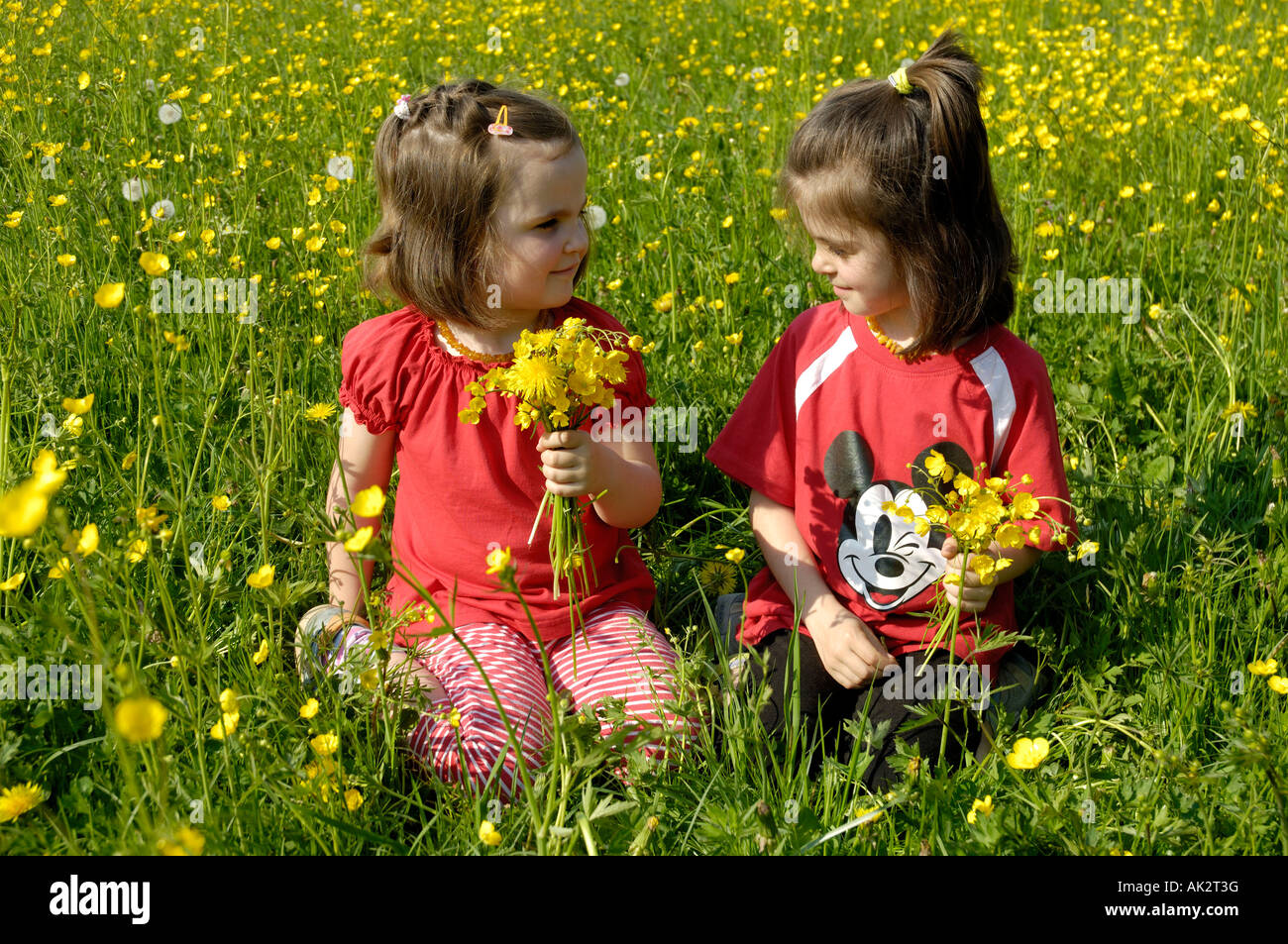 Girls with flowers Stock Photo Alamy