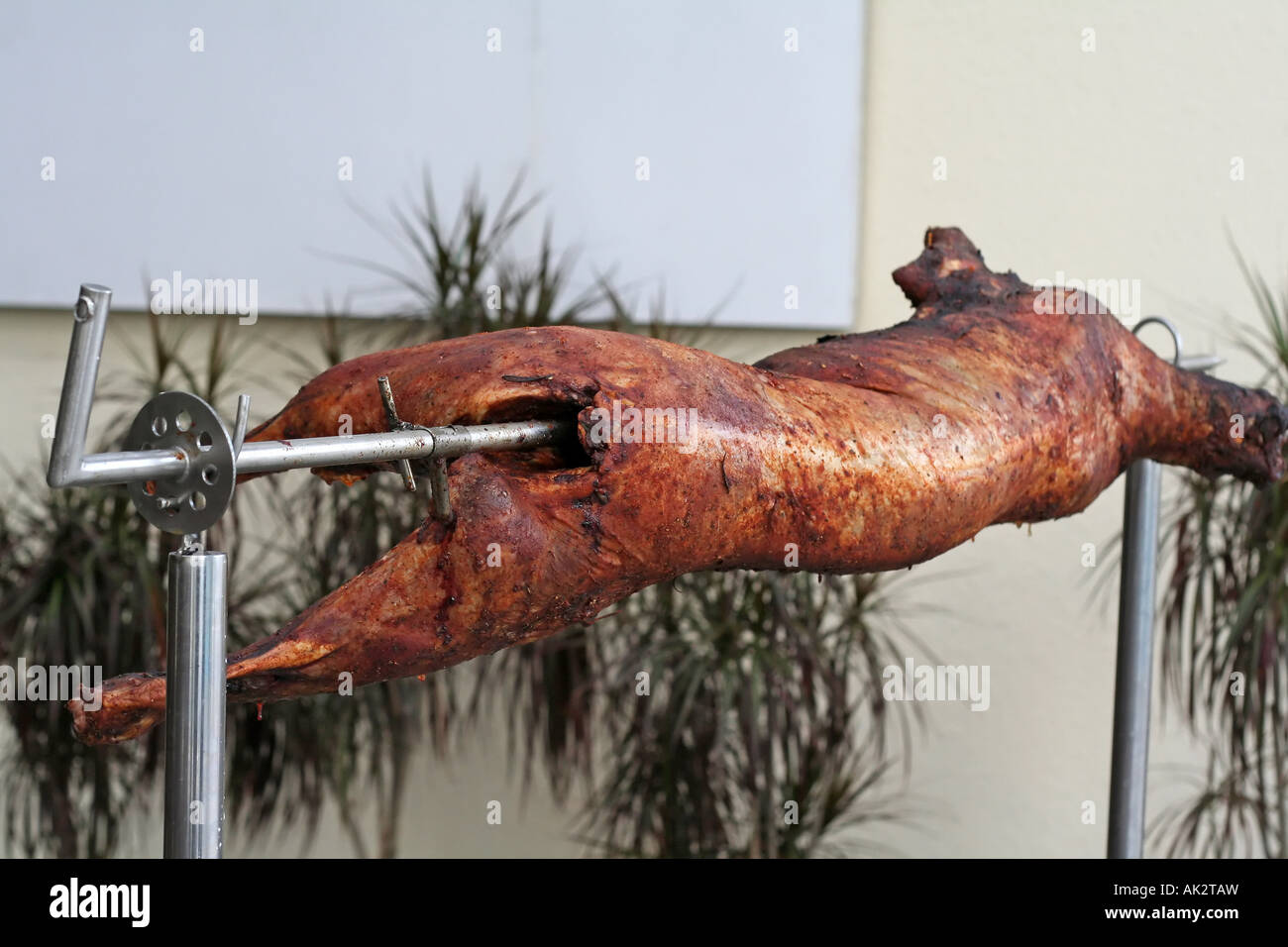 Whole roast lamb Stock Photo