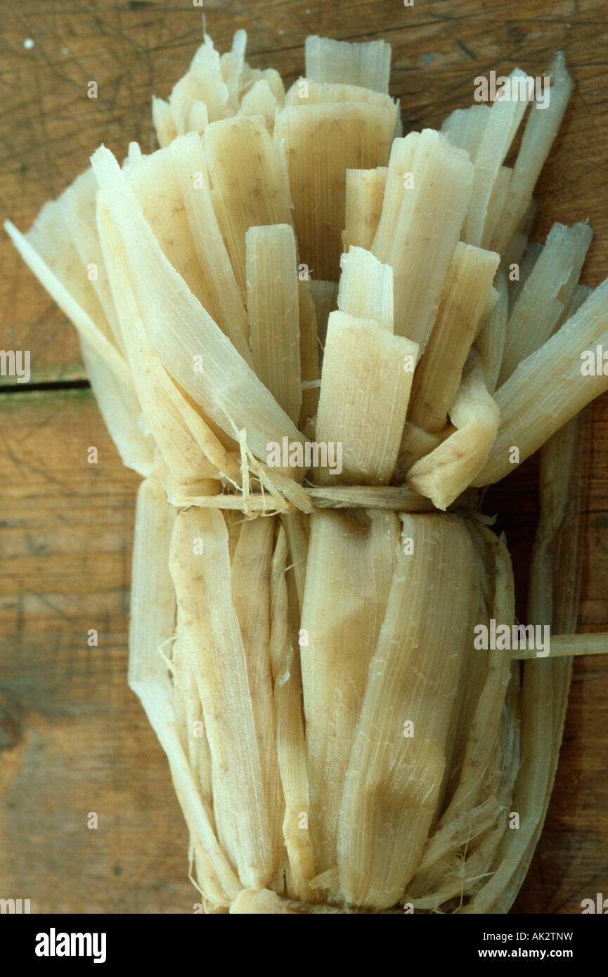 Egyptian Paper Plant Stock Photo Alamy