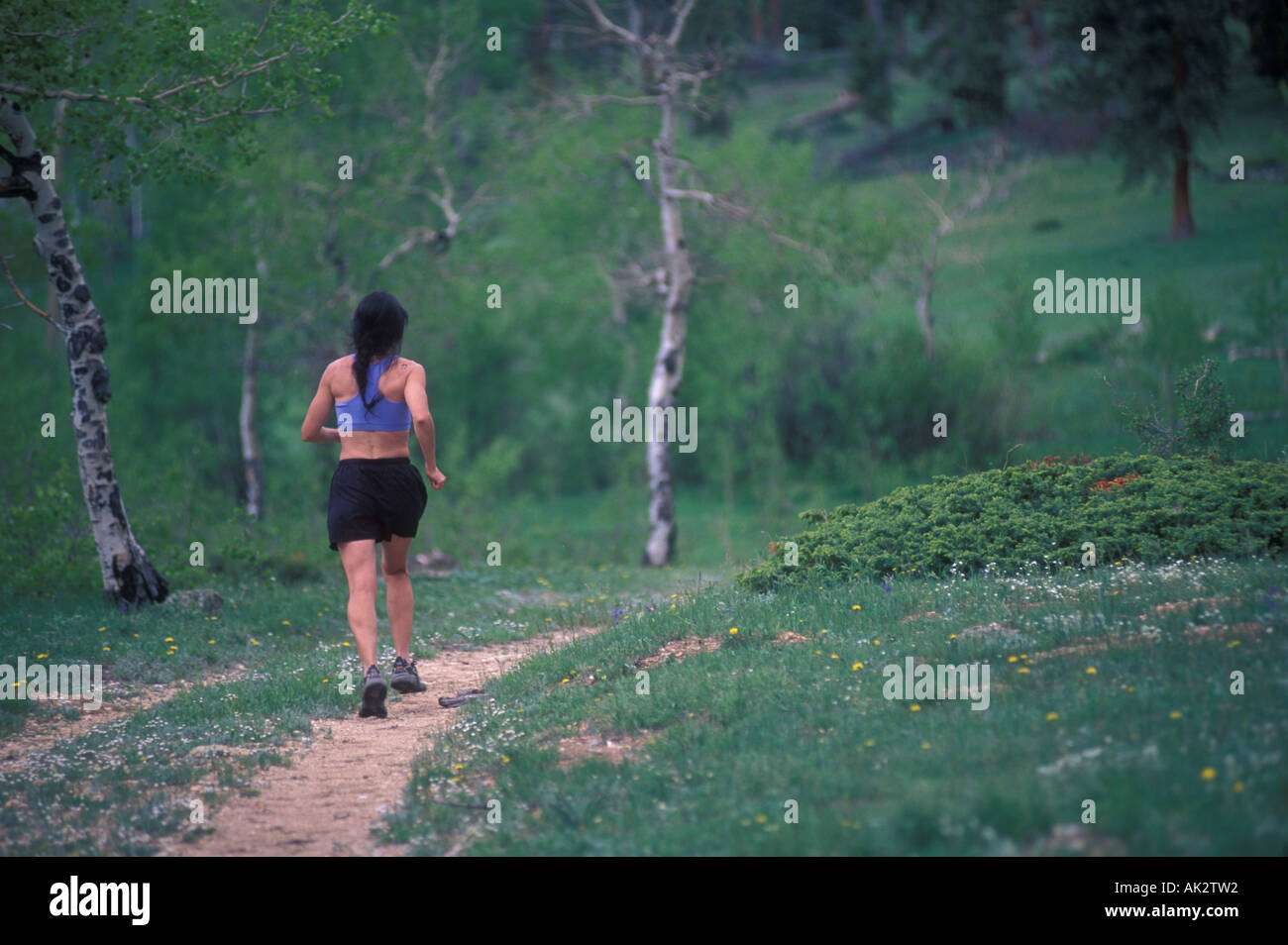 Woman trail running Stock Photo - Alamy