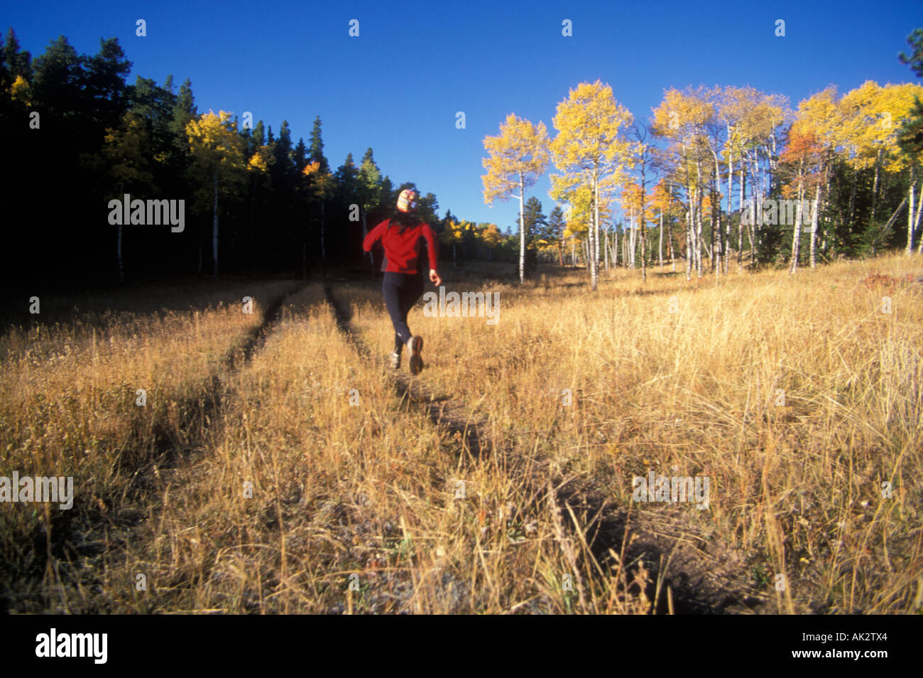 Woman trail running Stock Photo - Alamy