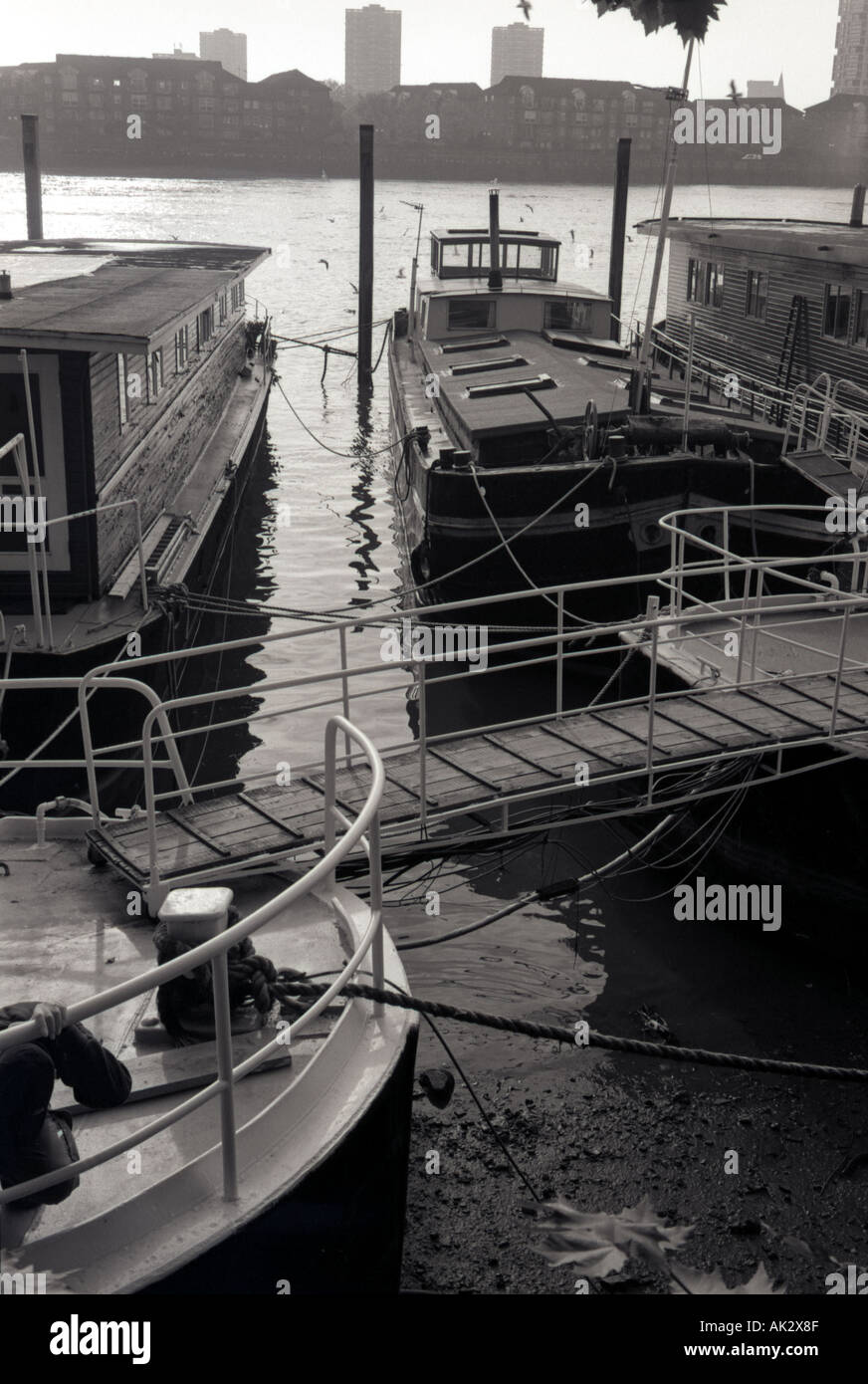Chelsea Houseboats London Stock Photo Alamy
