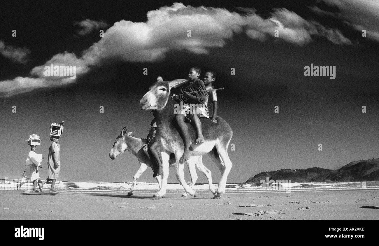 Donkey riders hi-res stock photography and images - Alamy