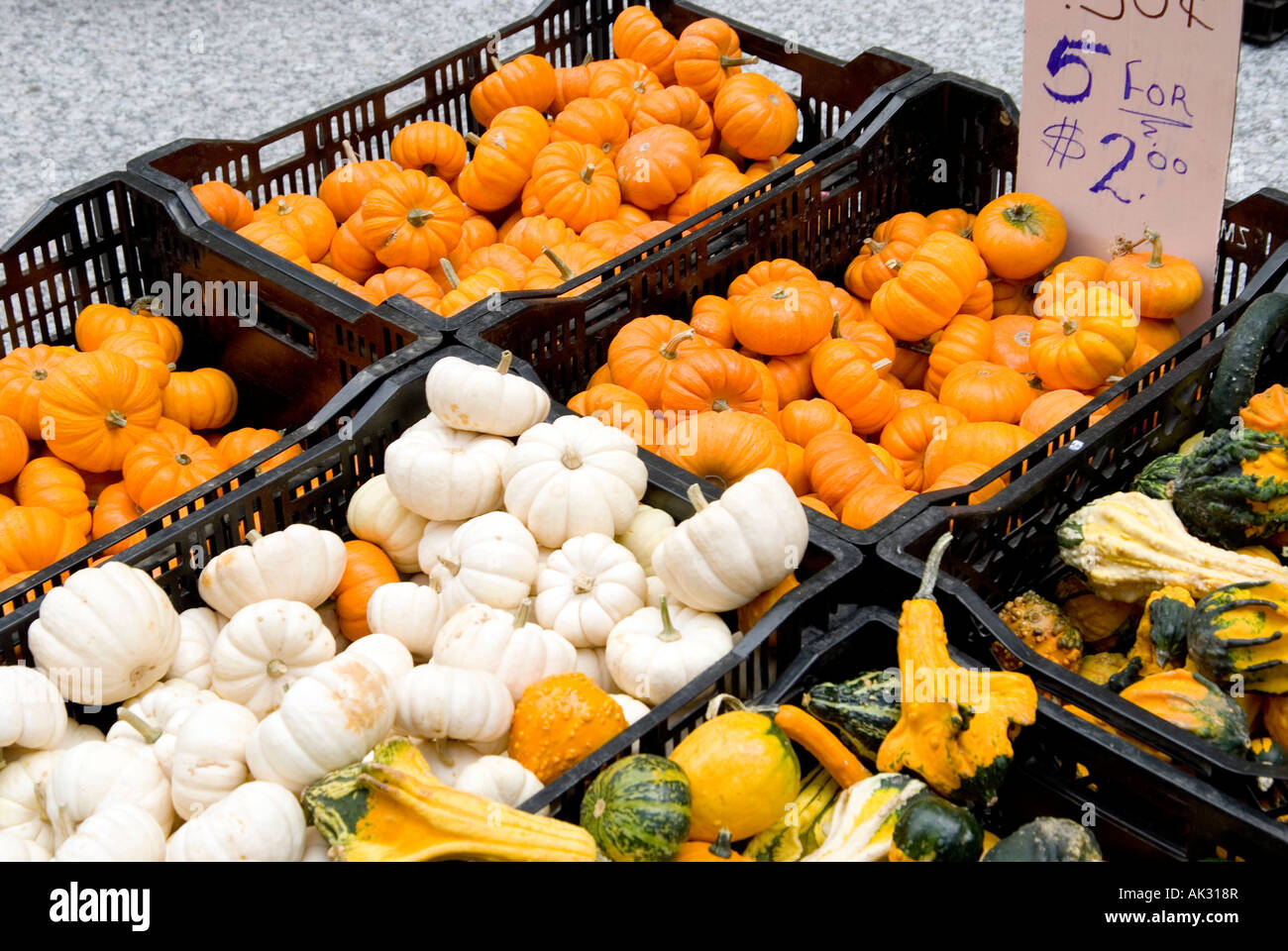 Farmers Market Gourds Stock Photo - Alamy