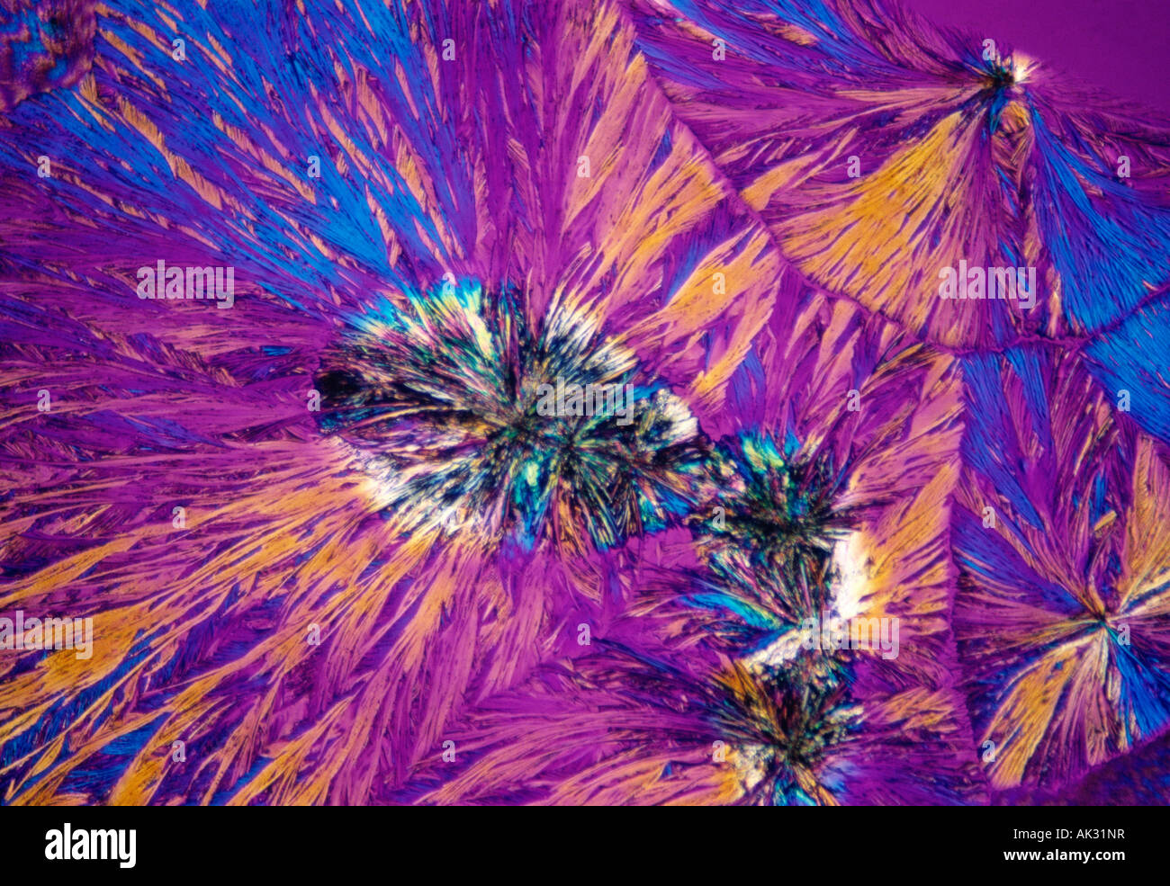 Microscopic image. Vitamin C crystals in polarized light Stock Photo