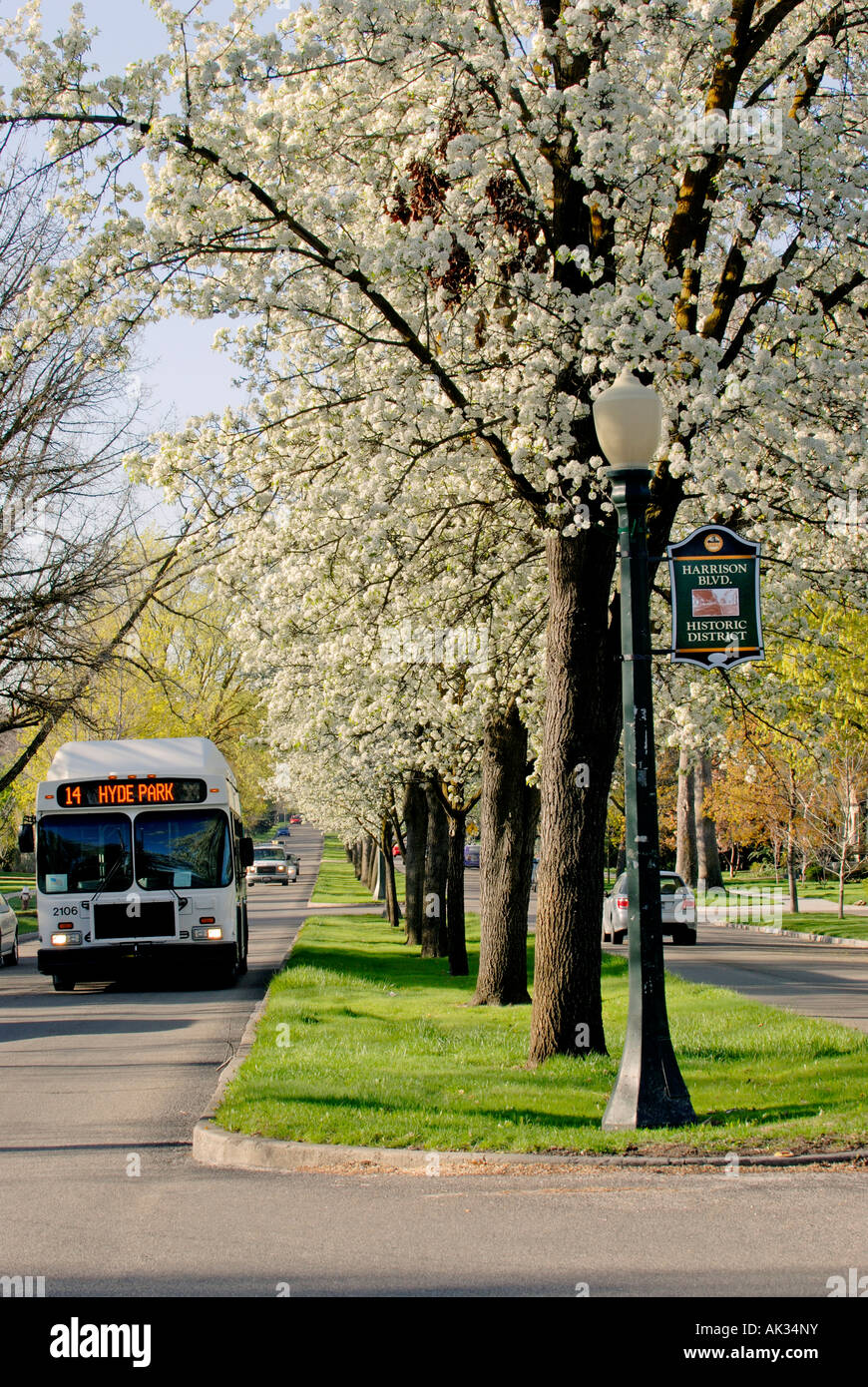 Harrison boulevard hires stock photography and images Alamy