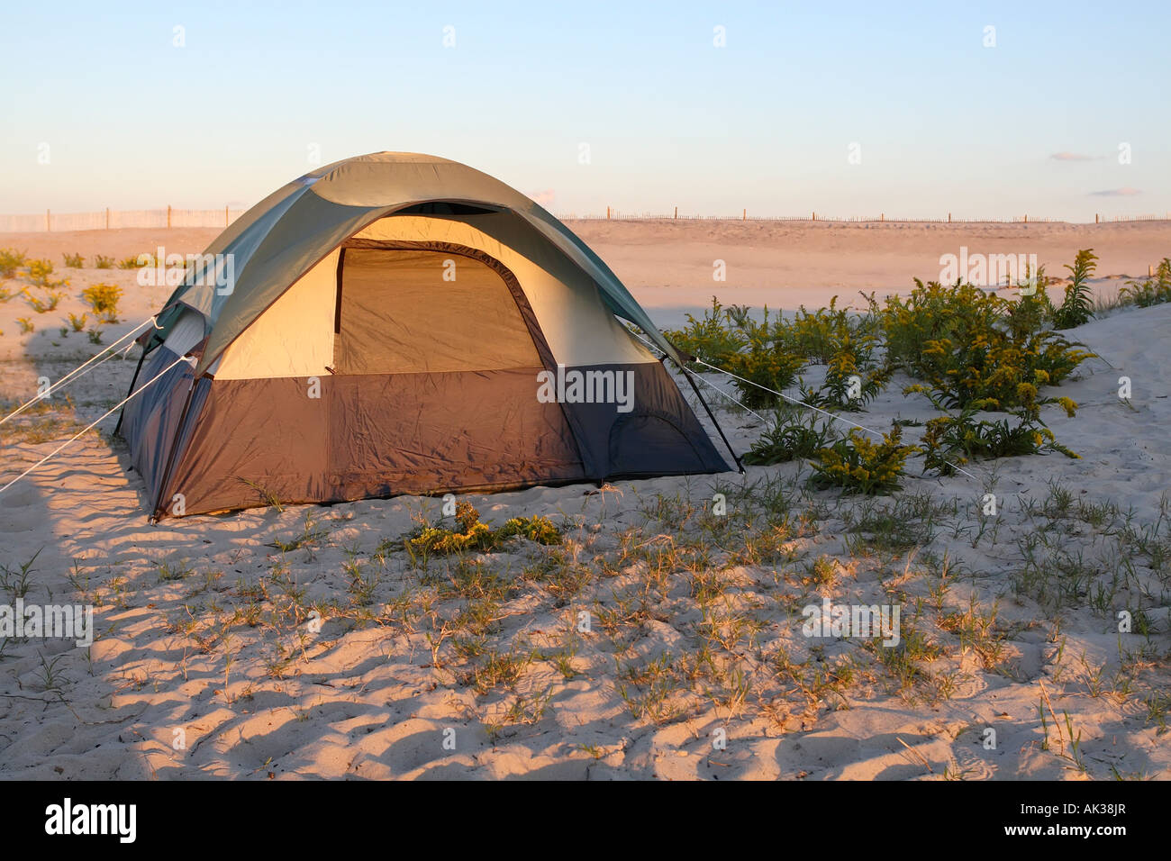 Camping At Assateague Island National Park Camping At Assateague Island National Park