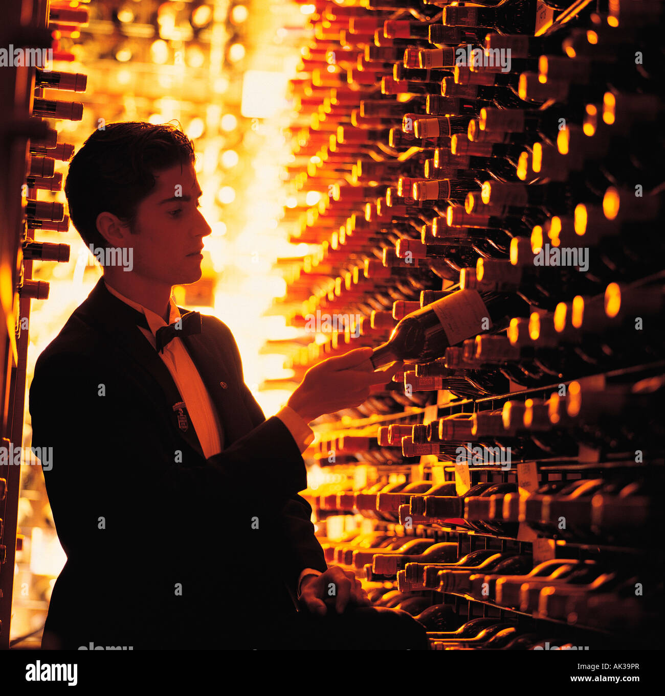 Wine steward selecting fine wine from cellar. Stock Photo